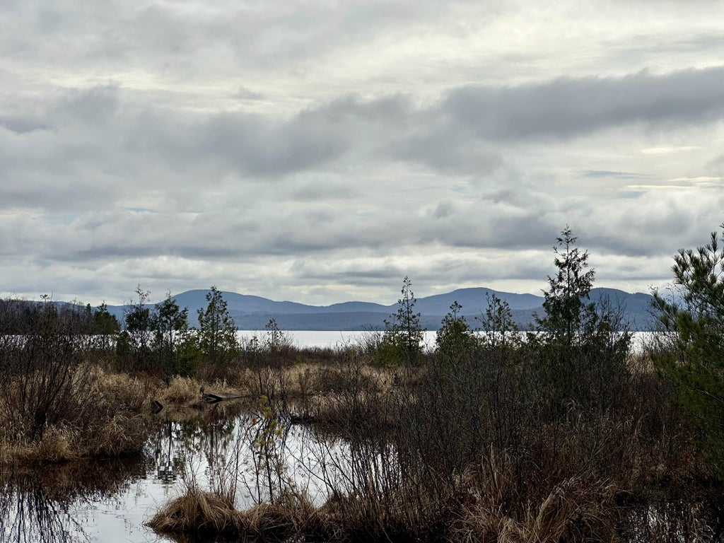 Photo of 2318 Toe of the Boot Road, Tomhegan Twp, ME 04478 (MLS # 1662592)