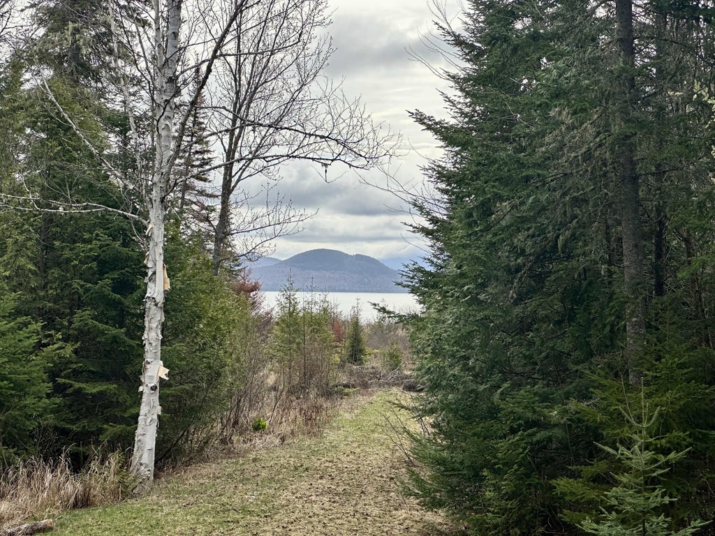 Photo of 2318 Toe of the Boot Road, Tomhegan Twp, ME 04478 (MLS # 1662592)