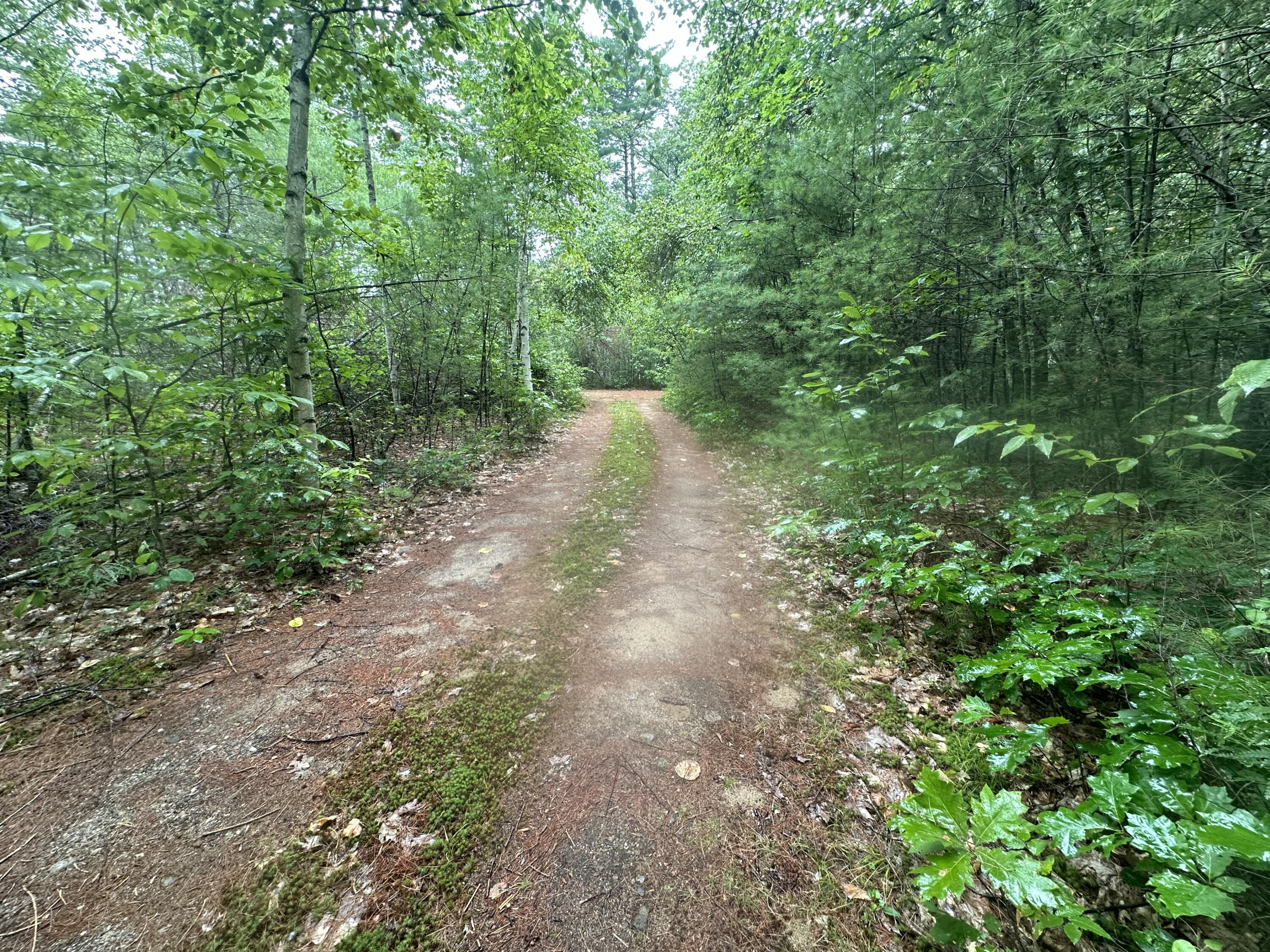 Map 111-4 H Road