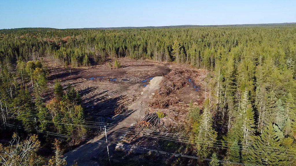 Photo of Map 06 Lots #16,16-2,16-3 Cutler Road, Cutler, ME 04626 (MLS # 1639514)