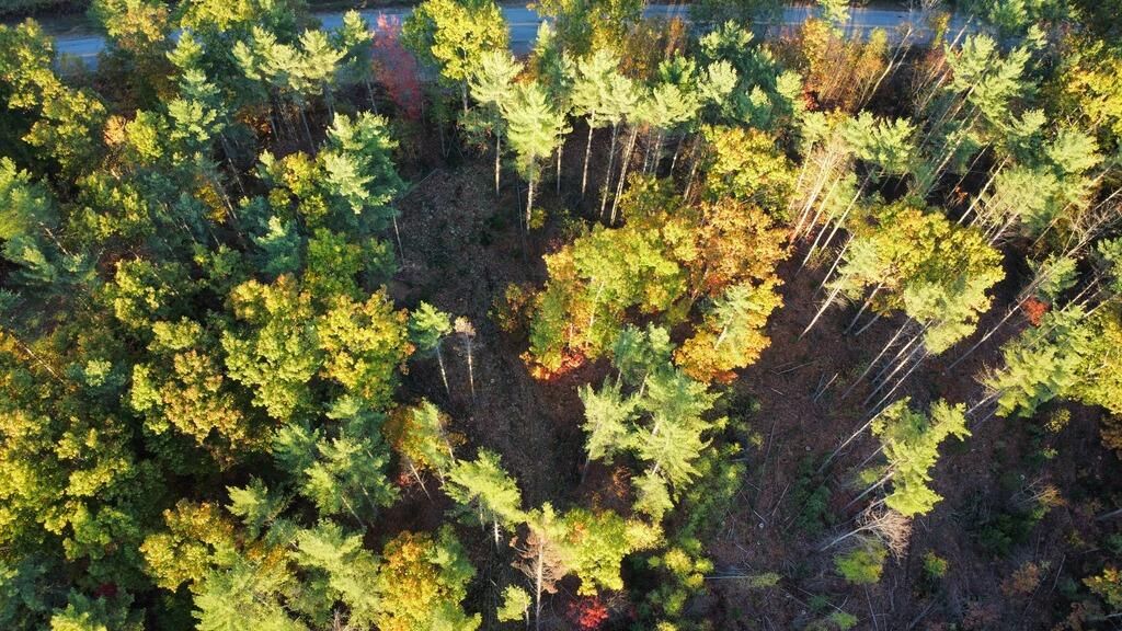 Photo of Lot 16 (1) Whittier Road, Farmington, ME 04938 (MLS # 1640503)