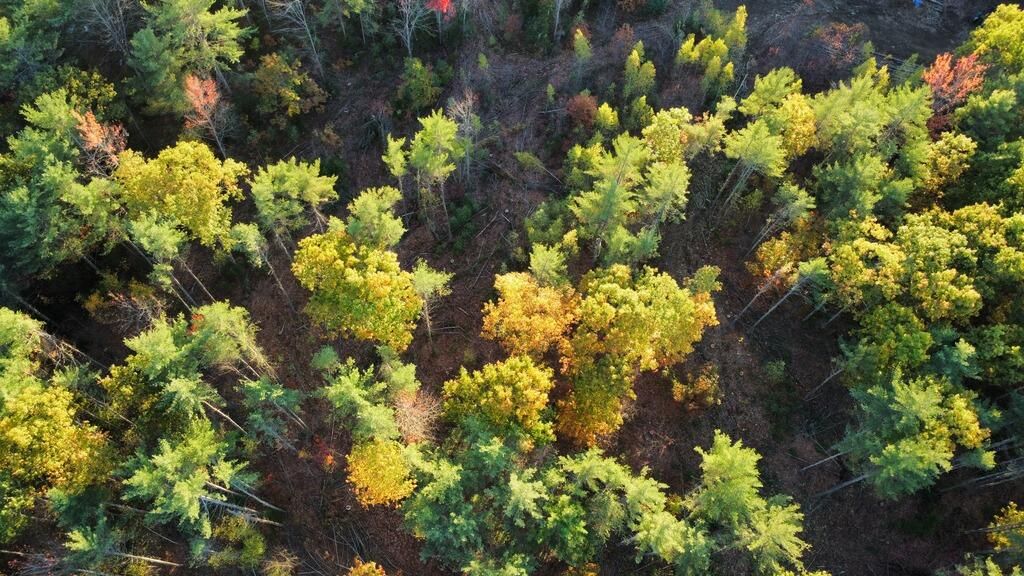 Photo of Lot 16 (1) Whittier Road, Farmington, ME 04938 (MLS # 1640503)