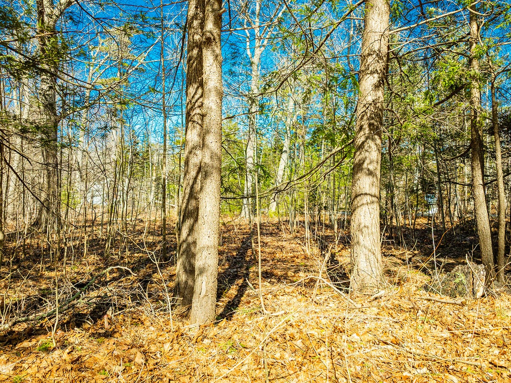 Photo of 122,6-1 Timbercliffe Drive, Camden, ME 04843 (MLS # 1631825)