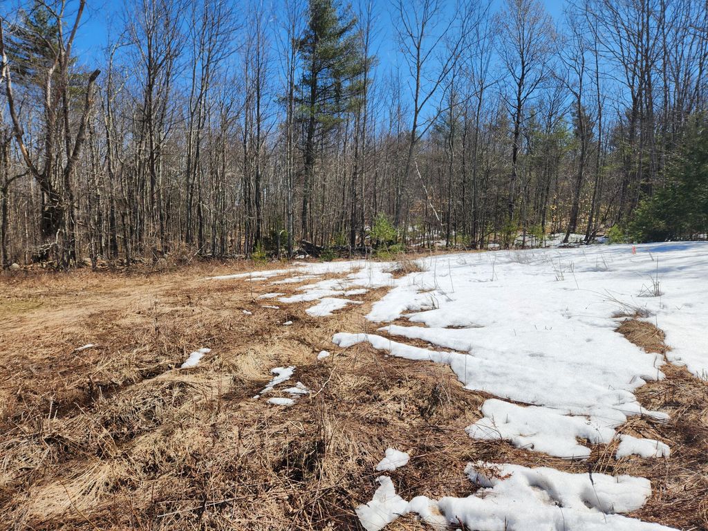 Photo of Lot16B Acadia Way, Turner, ME 04282 (MLS # 1555718)