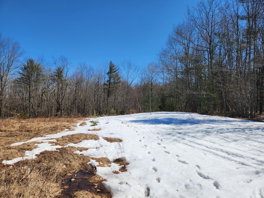Photo of Lot16B Acadia Way, Turner, ME 04282 (MLS # 1555718)