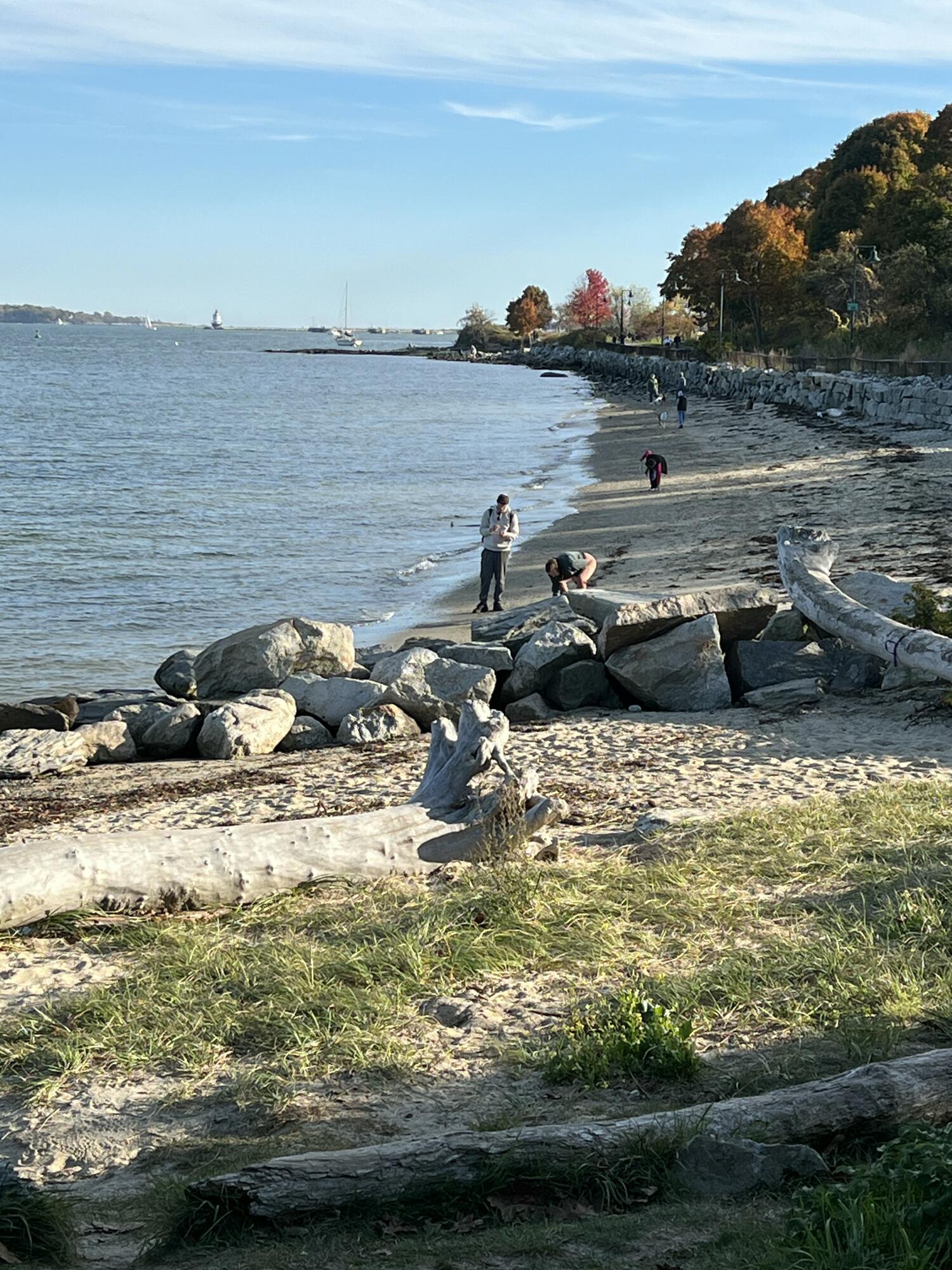 246 Eastern Promenade 401