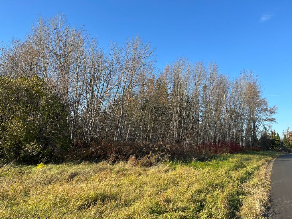 Photo of 0 Albair Road, Caribou, ME 04736 (MLS # 1643184)