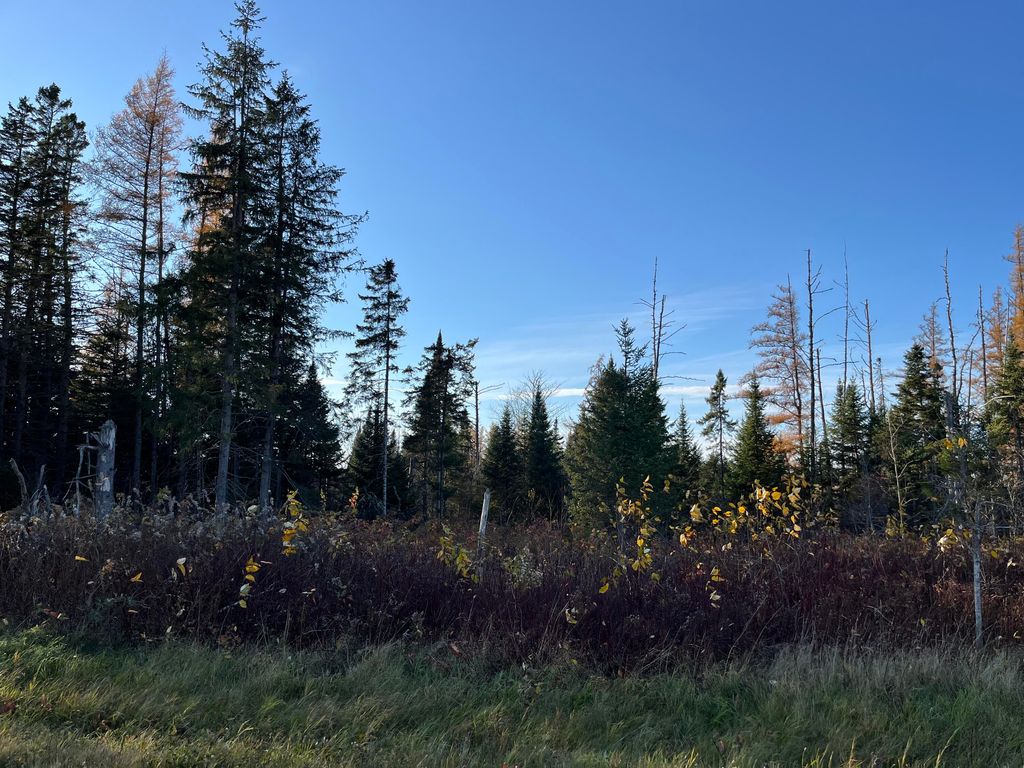Photo of 0 Albair Road, Caribou, ME 04736 (MLS # 1643184)