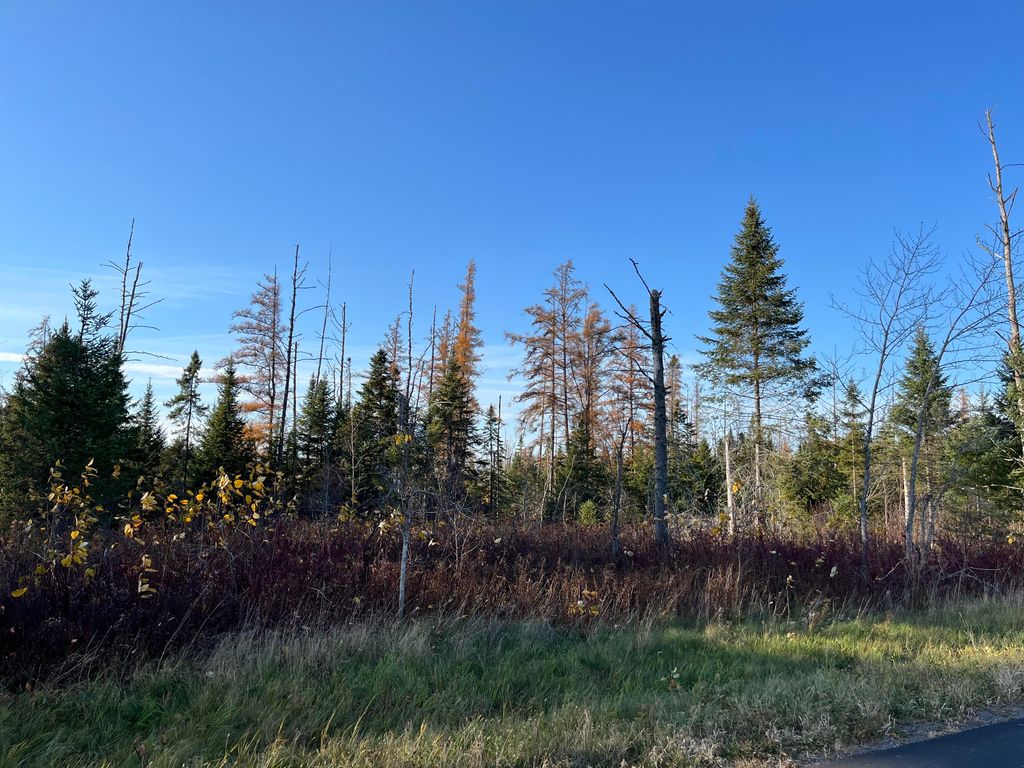 Photo of 0 Albair Road, Caribou, ME 04736 (MLS # 1643184)
