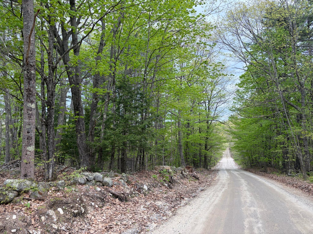 Photo of Lot 13-B2 South Town Farm Road, Oxford, ME 04270 (MLS # 1662894)