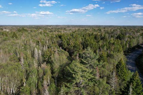 Photo of Lot 009 Off of Reynolds Brook Road, Whiting, ME 04691 (MLS # 1663200)