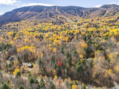 Photo of Lot 9 Pond Road, Newry, ME 04261 (MLS # 1638772)