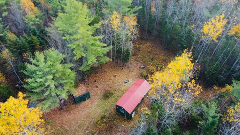 Photo of 76 Wolf Run Trail, Greenbush, ME 04418 (MLS # 1641909) Photo of 76 Wolf Run Trail, Greenbush, ME 04418 (MLS # 1641909)