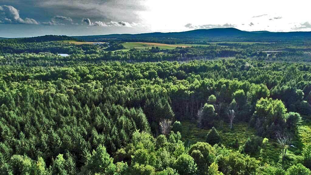 Lot-5-1 Off Burton Road