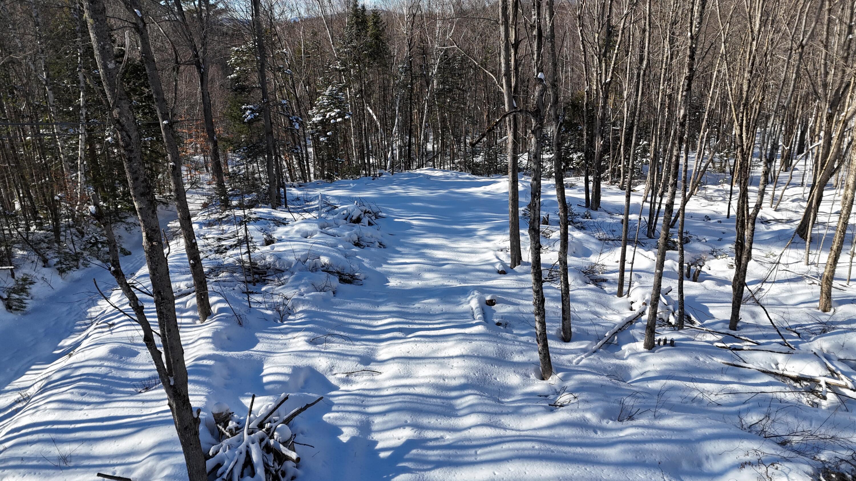 TBD Dunn Road