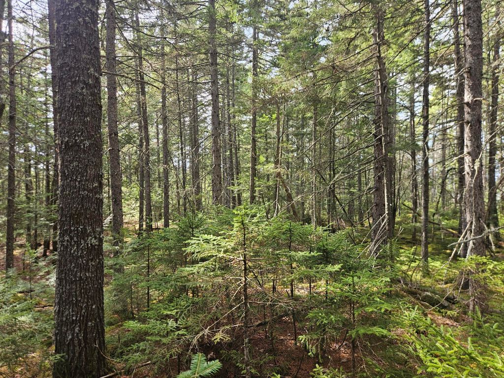 Photo of Map 4-47 Merrill Road, Willimantic, ME 04443 (MLS # 1661290)