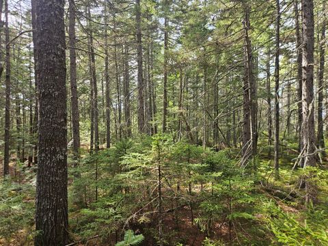 Photo of Map 4-47 Merrill Road, Willimantic, ME 04443 (MLS # 1661290)