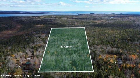 Photo of M51 L8 Grand Marsh Bay Road, Gouldsboro, ME 04624 (MLS # 1642011) Photo of M51 L8 Grand Marsh Bay Road, Gouldsboro, ME 04624 (MLS # 1642011)