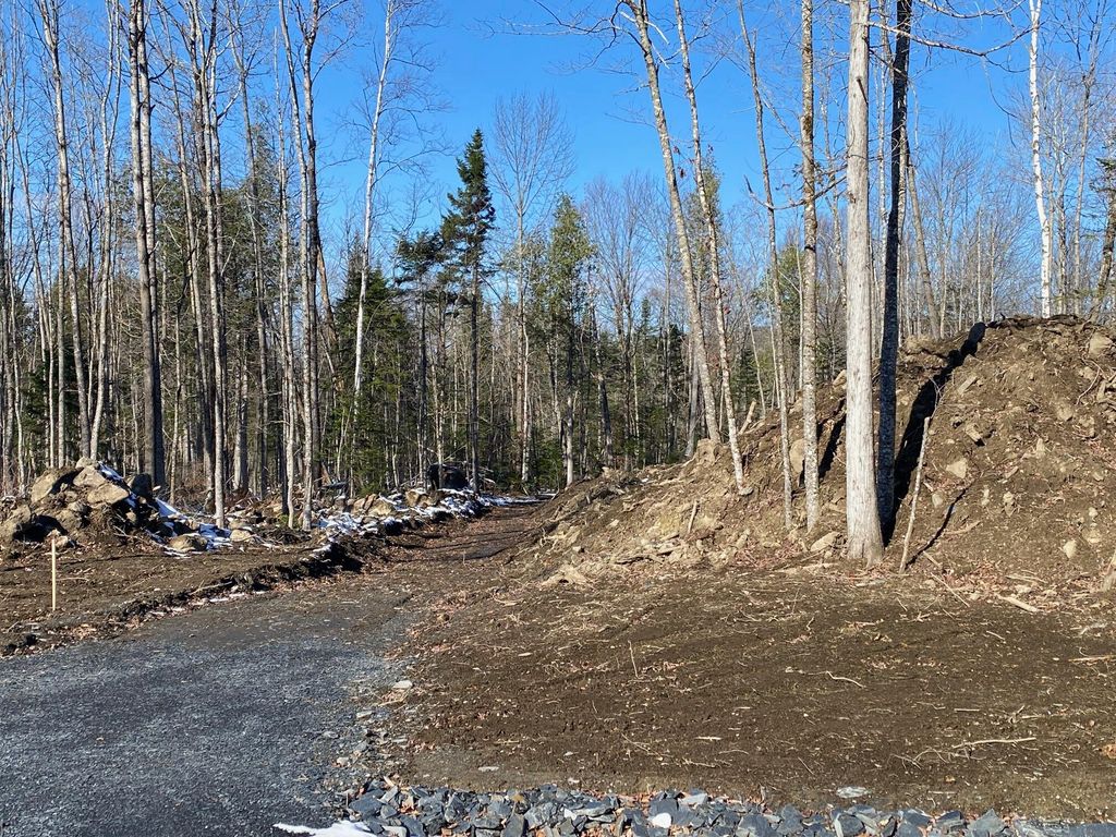 Photo of 5 Tumbledown Lane, Greenville, ME 04441 (MLS # 1653889)