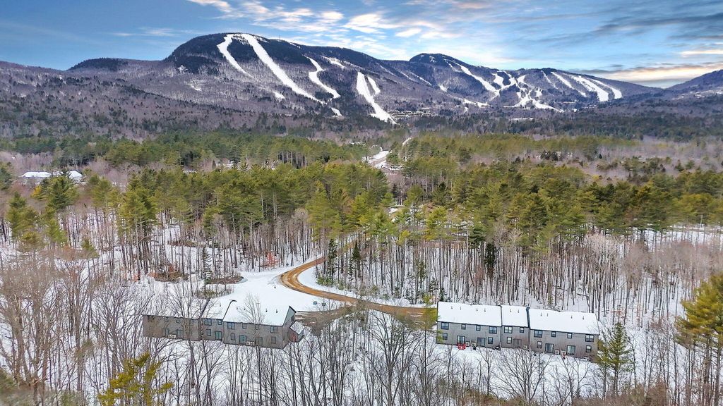 Photo of 12 Lodgepole Lane #12, Newry, ME 04261 (MLS # 1651631)