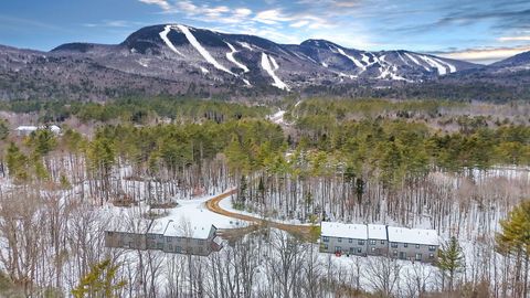 Photo of 12 Lodgepole Lane #12, Newry, ME 04261 (MLS # 1651631)