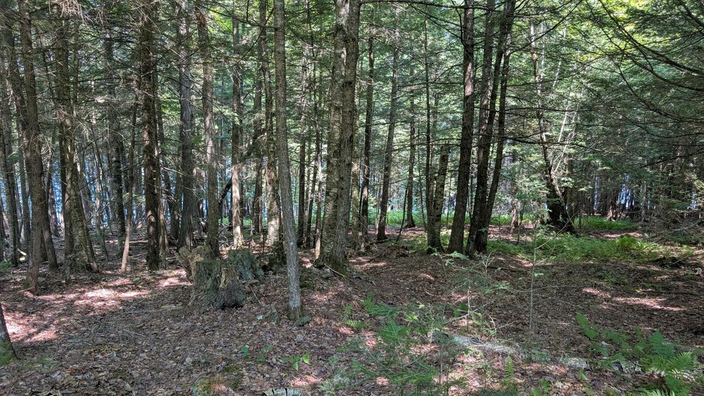 Photo of Lot #8 Kolm Lane, Garland, ME 04939 (MLS # 1652274)
