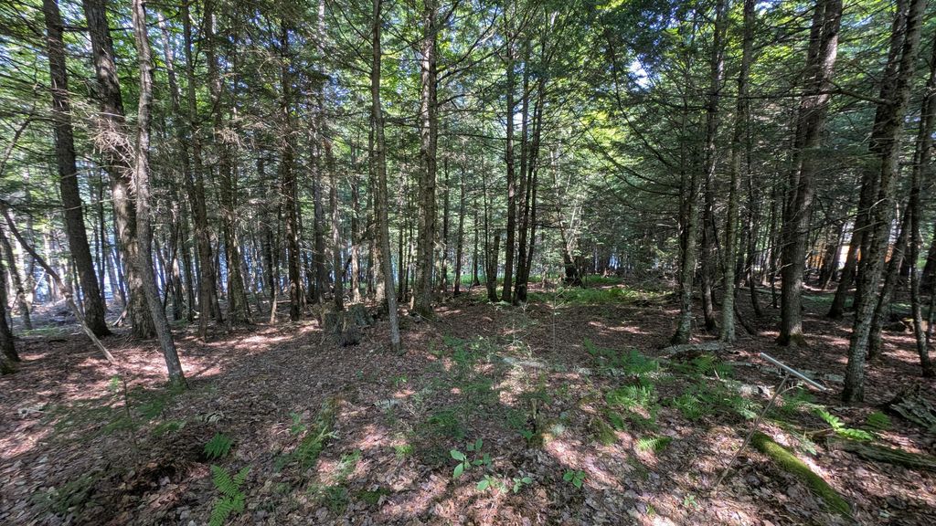 Photo of Lot #8 Kolm Lane, Garland, ME 04939 (MLS # 1652274)