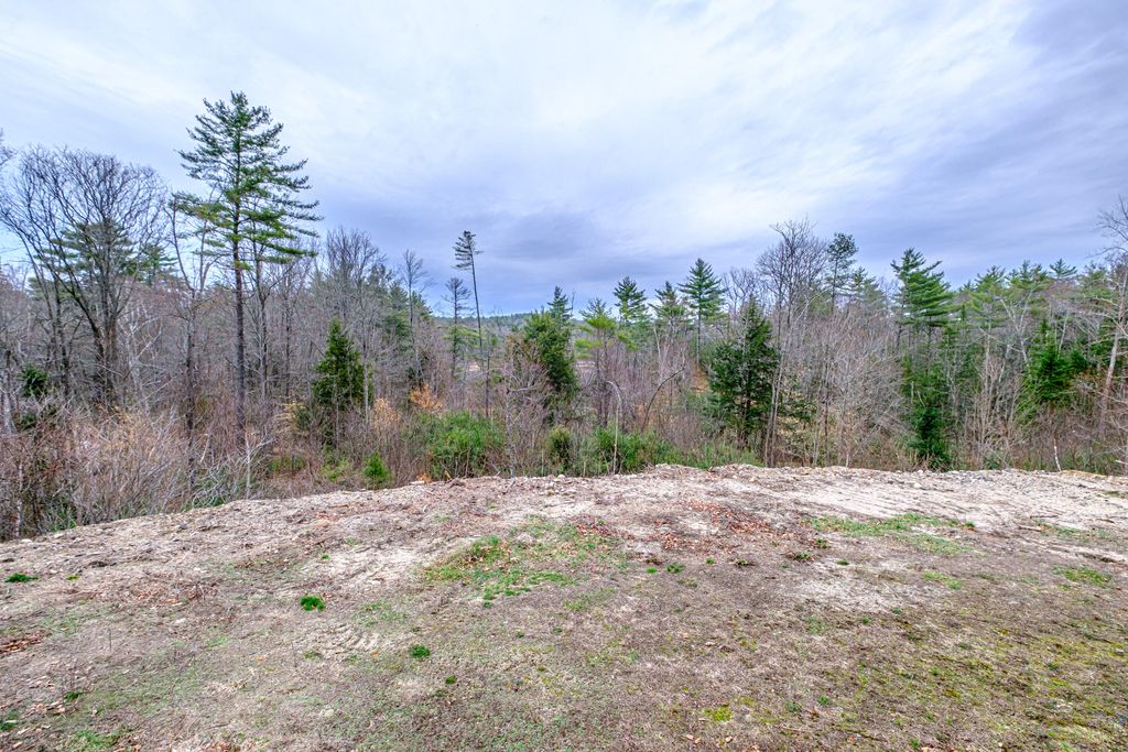 Photo of 515 Bickford Pond Road, Porter, ME 04068 (MLS # 1657705)