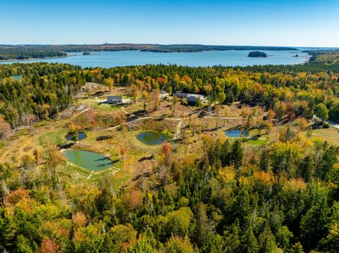 Photo of 408 Duck Cove Road, Roque Bluffs, ME 04654 (MLS # 1660301)