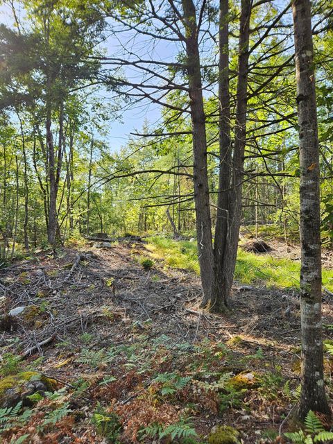 Photo of Lot A. Serenity Lane, Oxford, ME 04270 (MLS # 1637407)