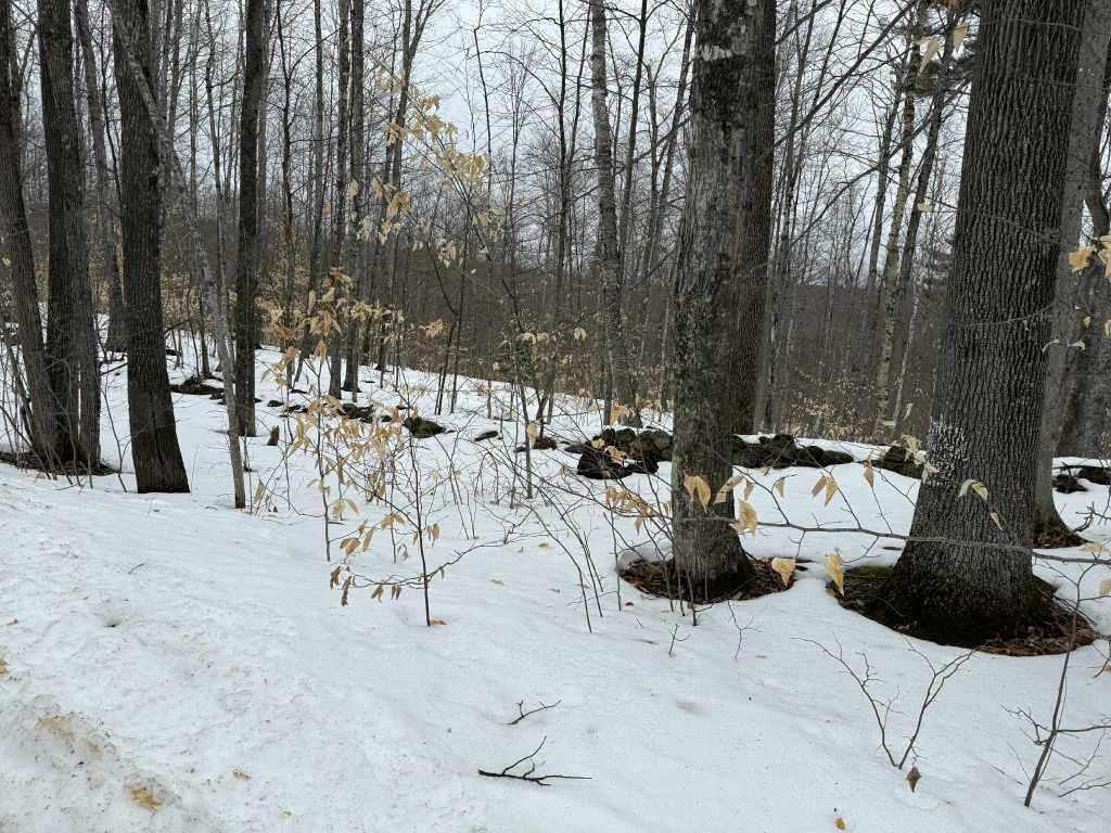 Photo of Lot 005 Greenwood Brook Road, Industry, ME 04938 (MLS # 1653286)