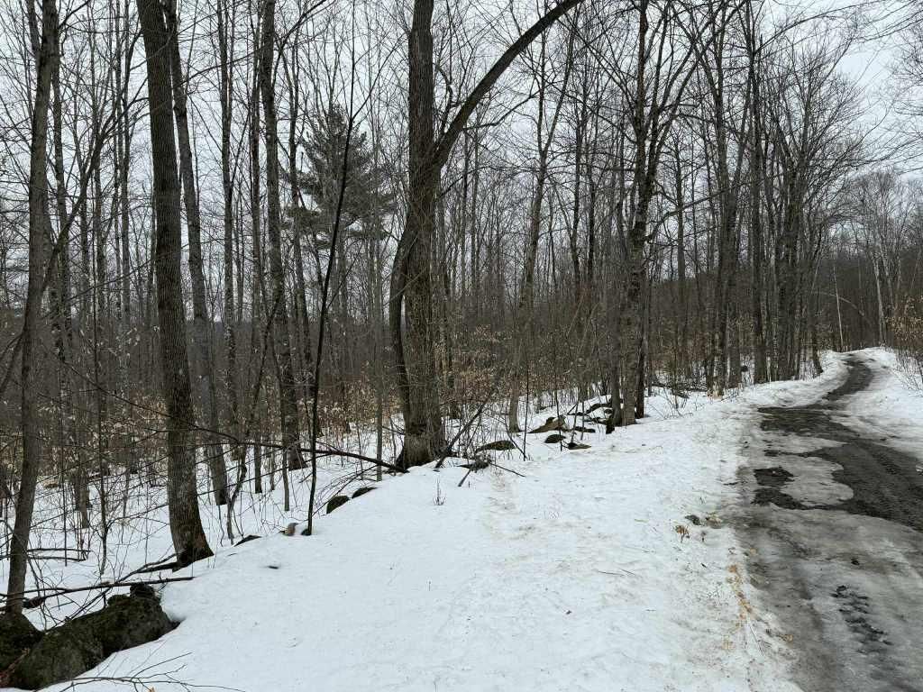 Photo of Lot 005 Greenwood Brook Road, Industry, ME 04938 (MLS # 1653286)