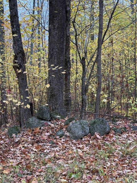 Photo of Lot 005 Greenwood Brook Road, Industry, ME 04938 (MLS # 1653286)