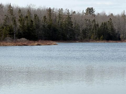 Photo of 25C Guzzle Road, Gouldsboro, ME 04607 (MLS # 1655782)