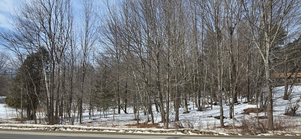 Photo of R12-010A Main Street, Sumner, ME 04292 (MLS # 1653477)