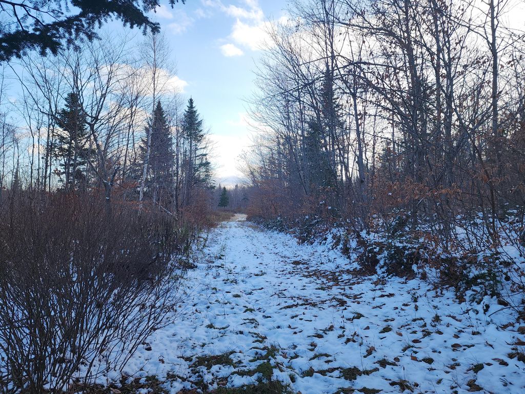 Photo of M 19 L 1 off Teses de Souens Road, Grand Isle, ME 04746 (MLS # 1646563)