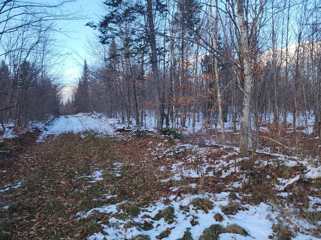 Photo of M 19 L 1 off Teses de Souens Road, Grand Isle, ME 04746 (MLS # 1646563)
