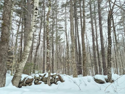 Photo of R06 L75-76 Staples Pond Road, Temple, ME 04984 (MLS # 1652097)