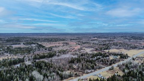 Photo of 0 Lively Brook Road, Whiting, ME 04691 (MLS # 1655270)