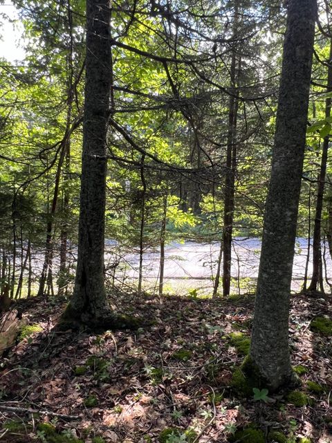 Photo of M34, L40 Hinckley Ridge Road, Blue Hill, ME 04614 (MLS # 1663498)