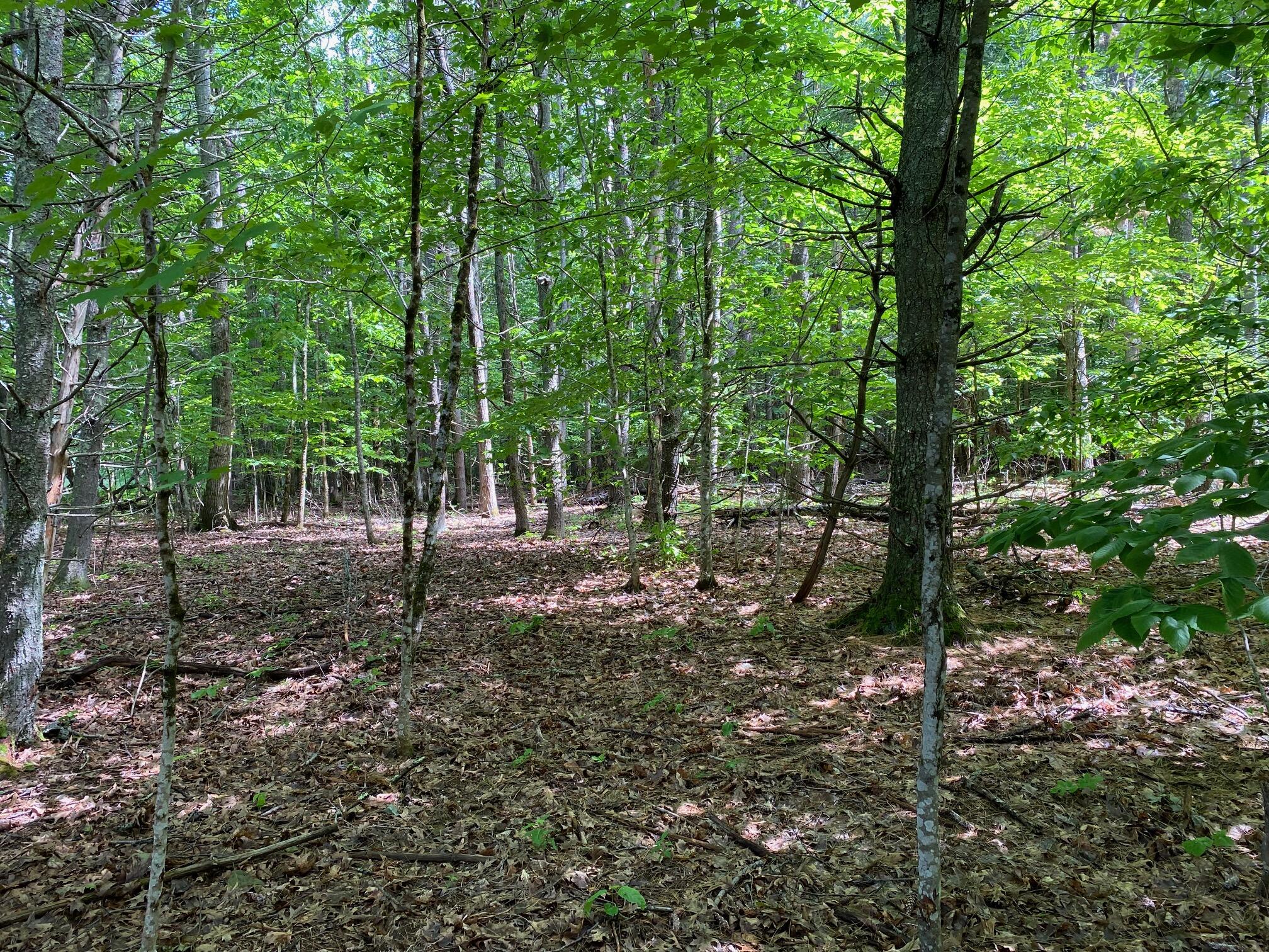 34-Acres Deering Drive