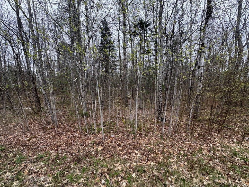 Photo of Lot 23 N Dixmont Road, Troy, ME 04987 (MLS # 1660869)