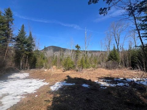 Photo of 36 Chimney Rock Road, Temple, ME 04984 (MLS # 1655569)