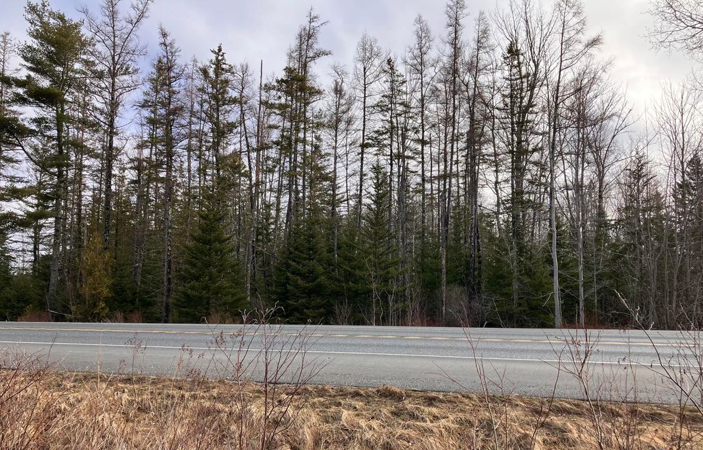 Photo of 0 Bar Harbor Road, Trenton, ME 04605 (MLS # 1656479)