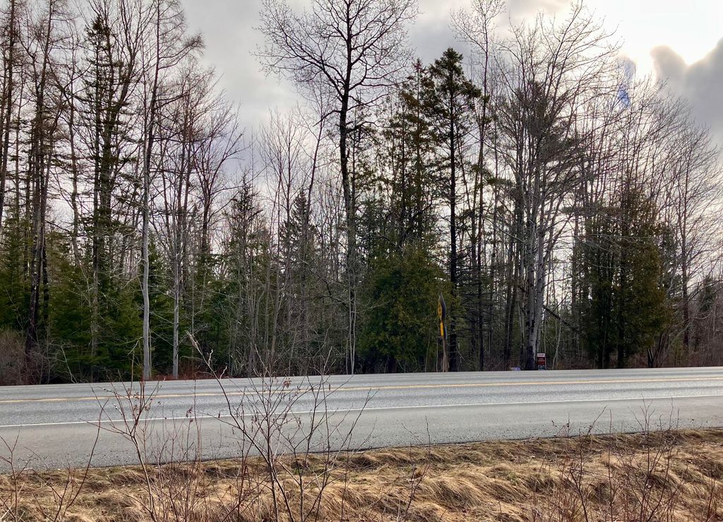 Photo of 0 Bar Harbor Road, Trenton, ME 04605 (MLS # 1656479)