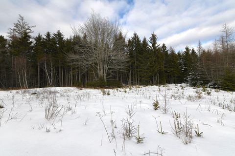 Photo of 12 Lindsay's Road, Deer Isle, ME 04627 (MLS # 1652241)