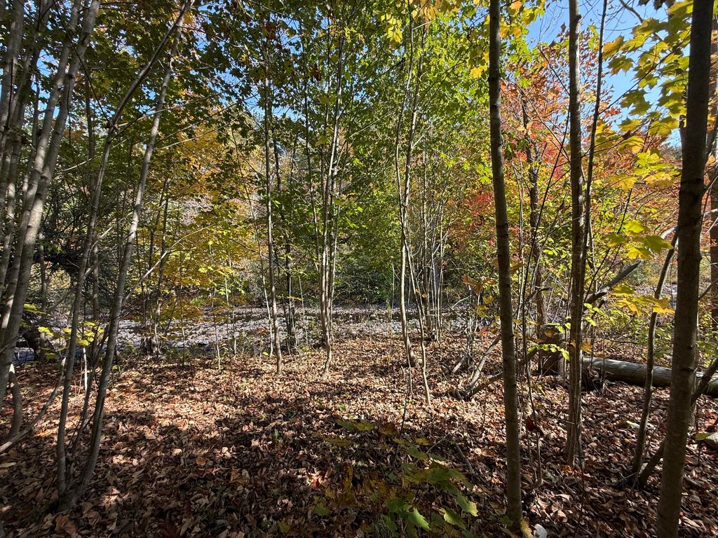 Photo of 43 Front Street, Pembroke, ME 04666 (MLS # 1640022)