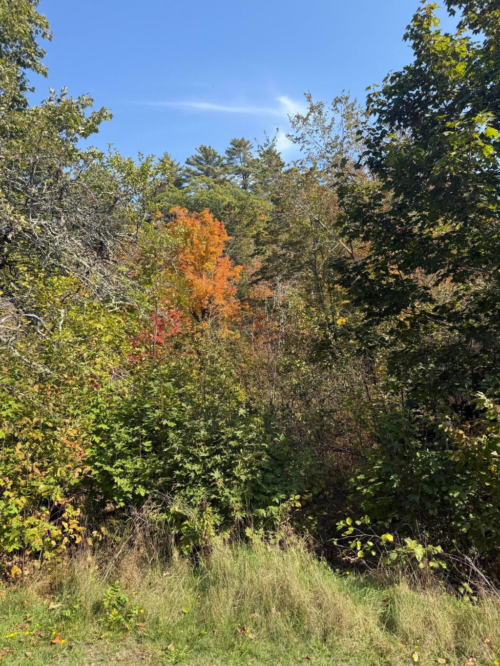 Photo of 43 Front Street, Pembroke, ME 04666 (MLS # 1640022)