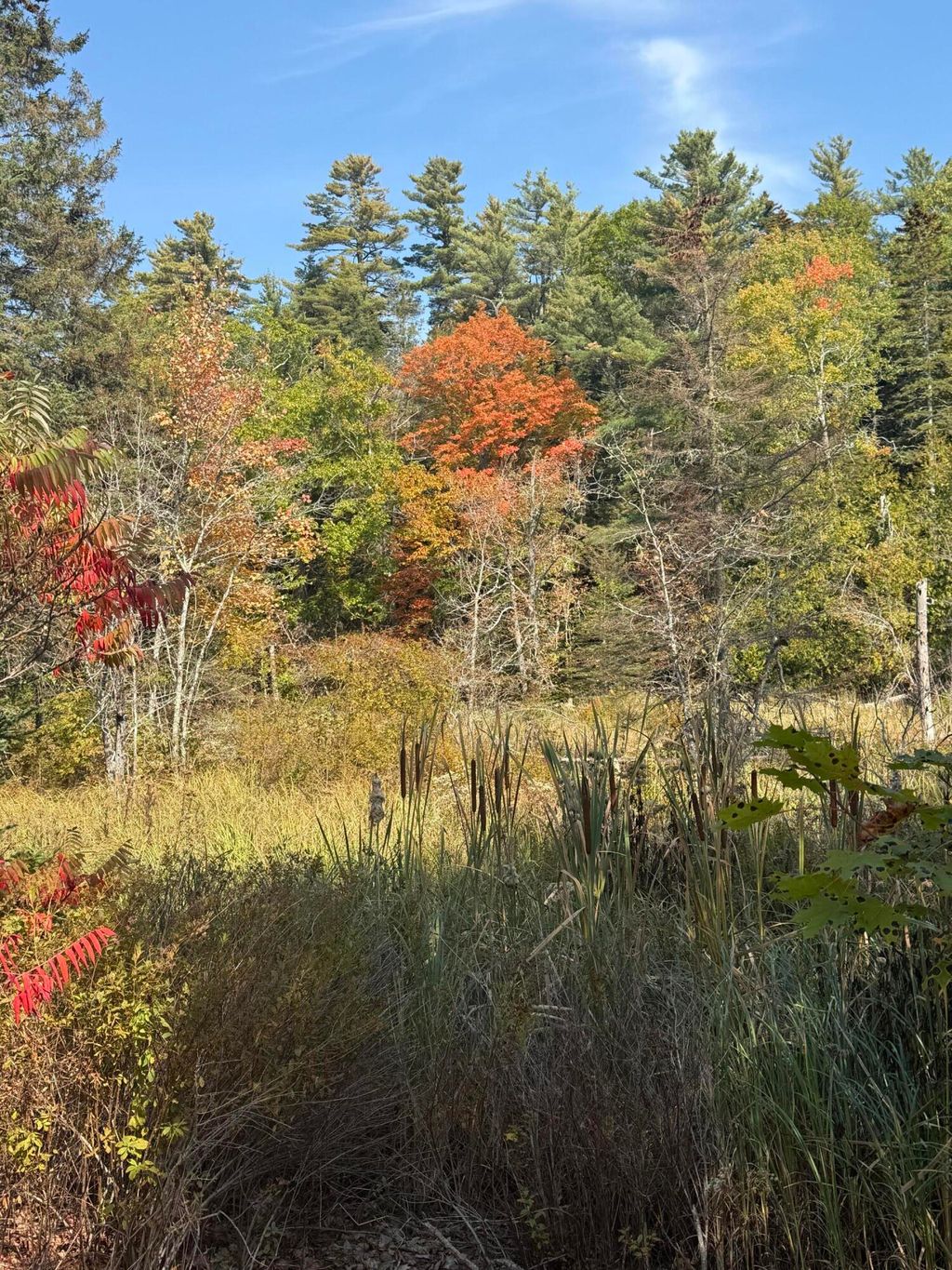 Photo of 43 Front Street, Pembroke, ME 04666 (MLS # 1640022)
