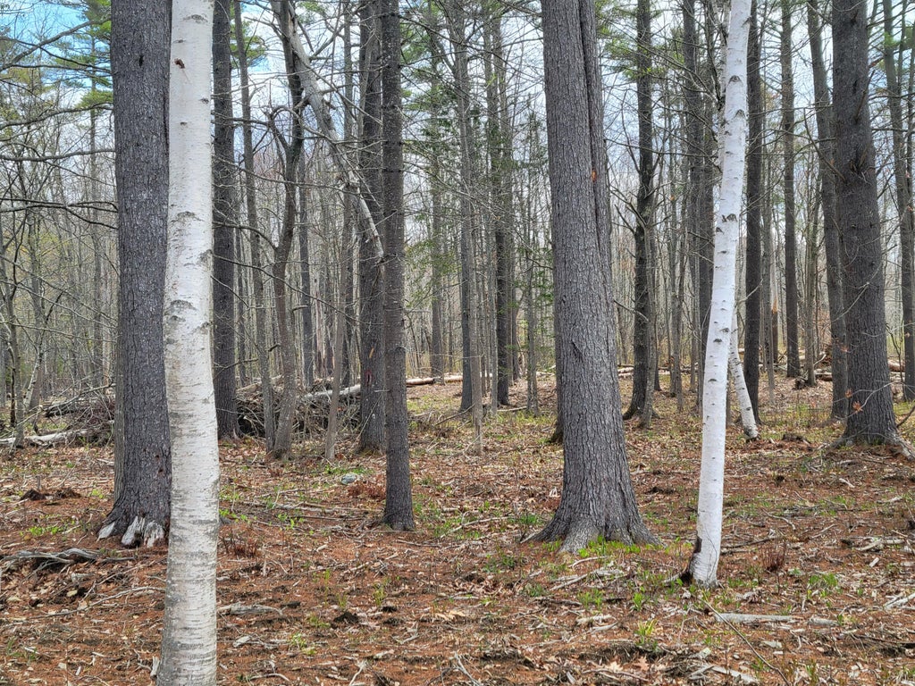 Photo of 002 Lot B Mortland Road, Searsport, ME 04974 (MLS # 1663097)